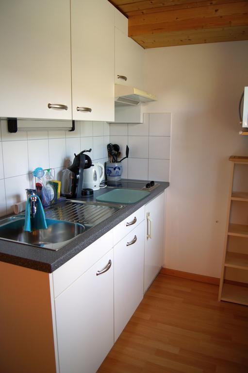 Studio Schija Saint Antonien Bagian luar foto